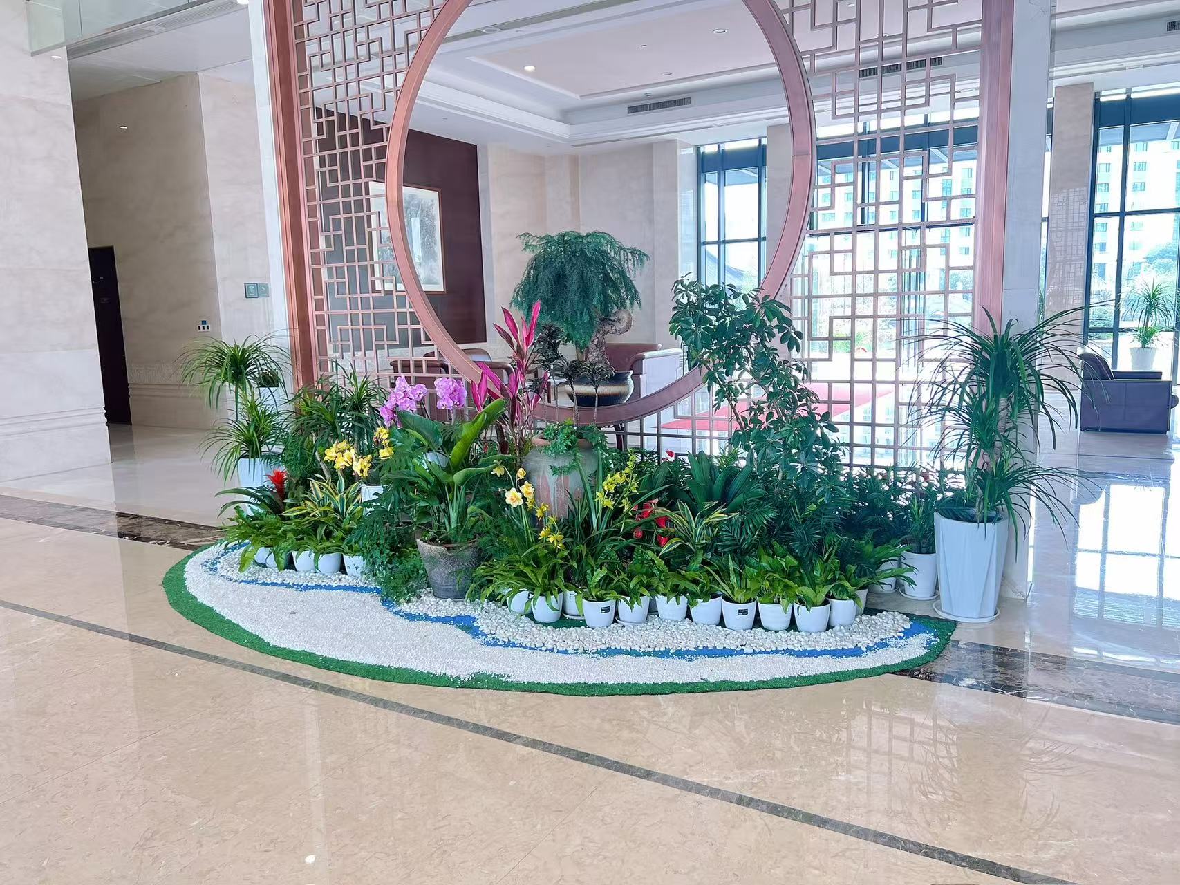 鄞州绿植租赁服务好